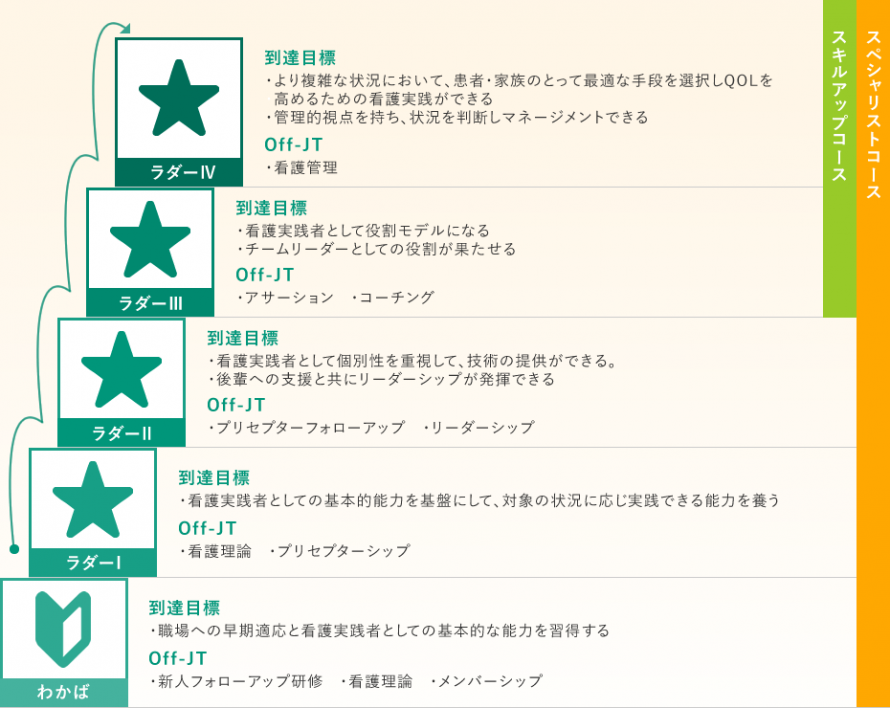 クリニカルラダー概要 クリニカルラダー概要