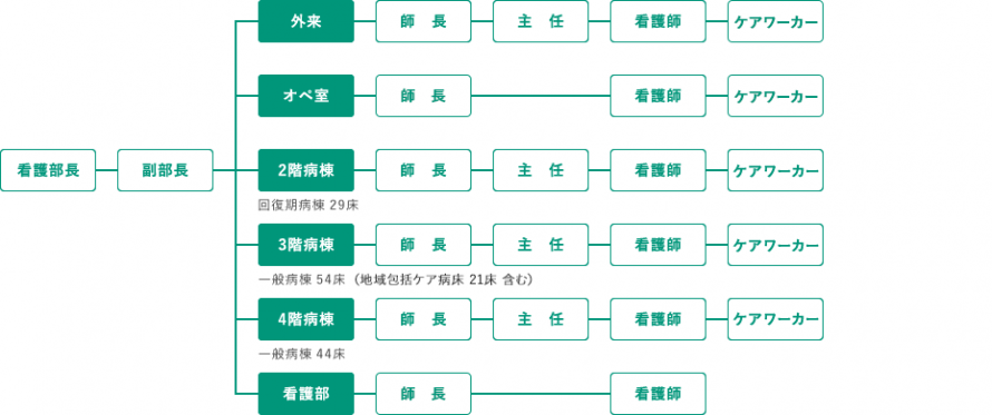 吉祥寺南病院　看護部組織図